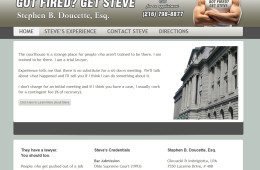 Got Fired? Get Steve!