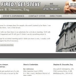 Got Fired? Get Steve!
