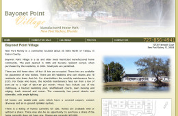 Bayonet Point Village