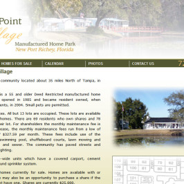 Bayonet Point Village