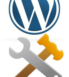 WordPress Maintenance Plan